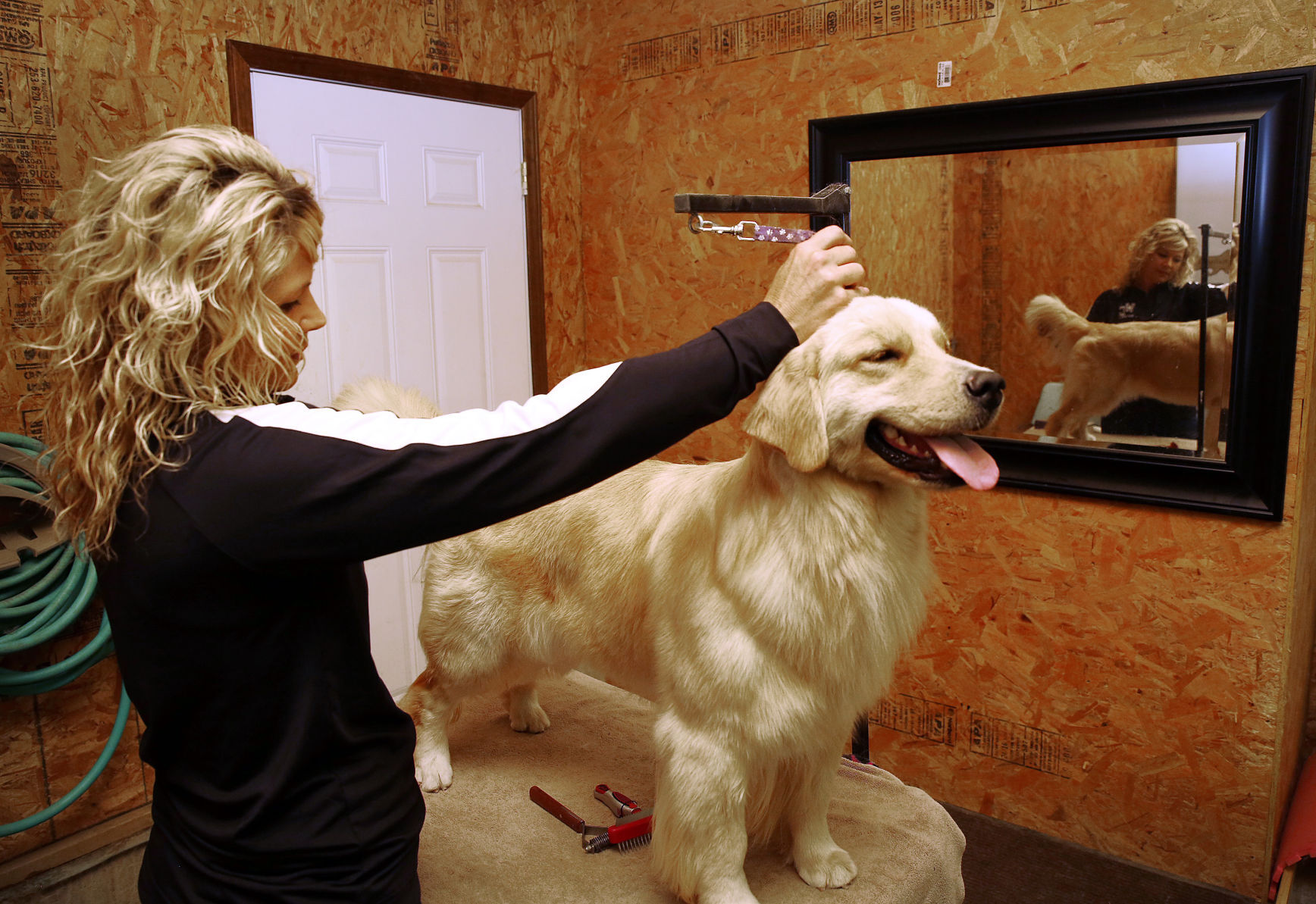 Dog trainer Donni Sue Graff